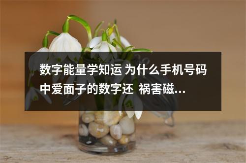 数字能量学知运 为什么手机号码中爱面子的数字还  祸害磁场后面加凶星磁场